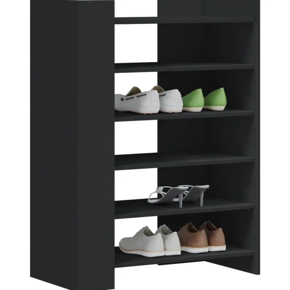 vidaXL Schoenenkast 74,5x37,5x100 cm bewerkt hout zwart
