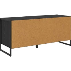 vidaXL Schoenenkast 100 x 35 x 44 cm Bewerkt hout Zwart Eiken
