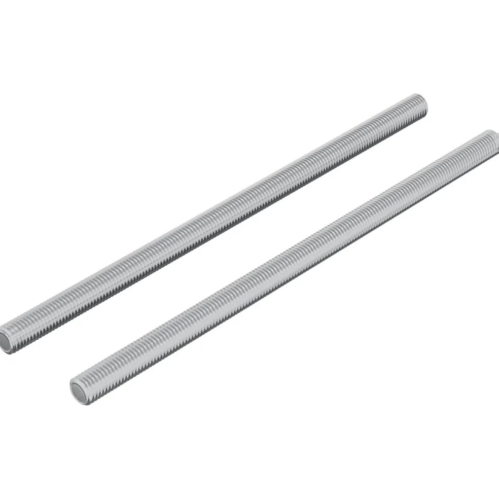 vidaXL Schroefdraadstangen 2 st Zilver M6 x 120 mm Metaal
