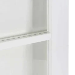 vidaXL Schuifdeur ORKDAL 61 x 198,5 cm Massief grenenhout en glas Wit