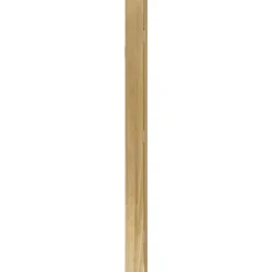 vidaXL Sieradenkast met spiegel wandgemonteerd 30x8,5x106 cm