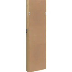 vidaXL Sieradenkast met spiegel wandgemonteerd 30x8,5x106 cm