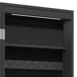 vidaXL Sieradenkast met spiegel en LED wandgemonteerd zwart