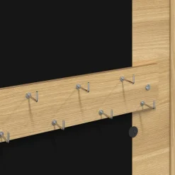 vidaXL Sieradenkast met spiegel wandgemonteerd 30x8,5x67 cm
