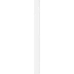 vidaXL Sieradenkast met spiegel wandgemonteerd 30x8,5x106 cm wit