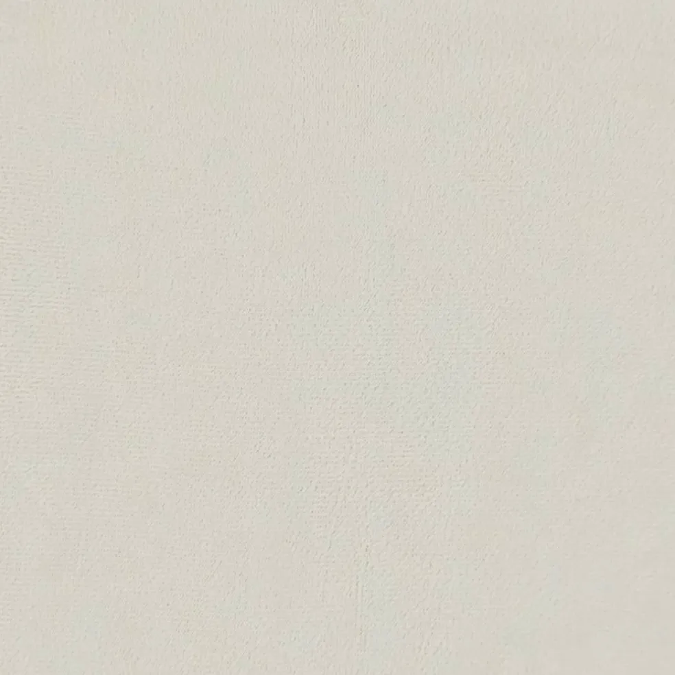 vidaXL Sierkussens 2 st 15x50 cm fluweel crèmekleurig