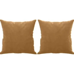 vidaXL Sierkussens 2 st 40x40 cm fluweel bruin
