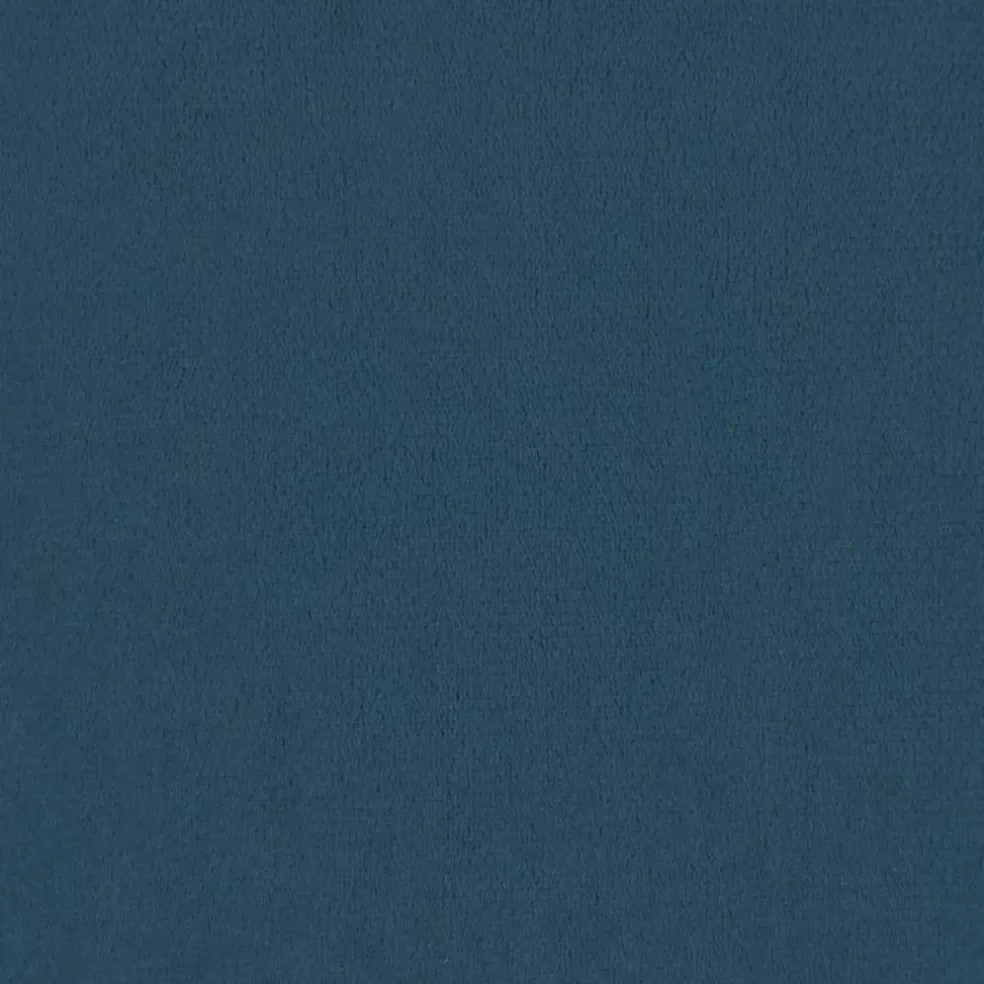vidaXL Sierkussens 2 st 40x40 cm fluweel blauw