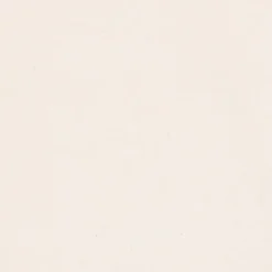 vidaXL Sierkussens 2 st 40x40 cm microvezelstof beige