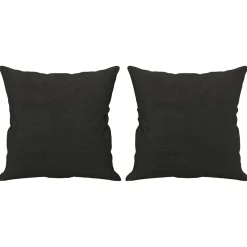 vidaXL Sierkussens 2 st 40x40 cm stof zwart