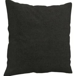 vidaXL Sierkussens 2 st 40x40 cm stof zwart