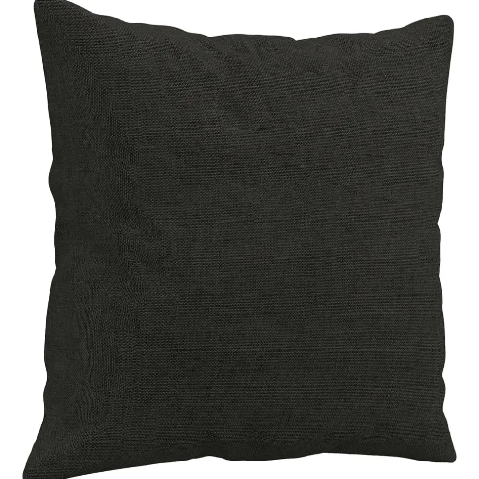 vidaXL Sierkussens 2 st 40x40 cm stof zwart