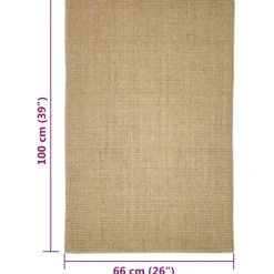 vidaXL Sisalmat voor krabpaal 66x100 cm