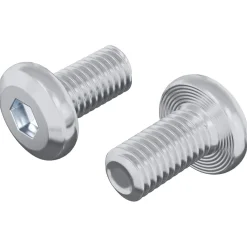 vidaXL Slotschroef Effen 2 st zilver M6 x 12 mm Staal