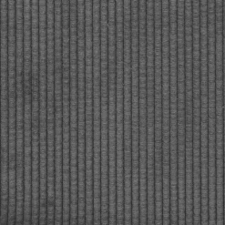 vidaXL Sofa Kussens 2 stuks Donkergrijs 50 x 30 cm Cordstof