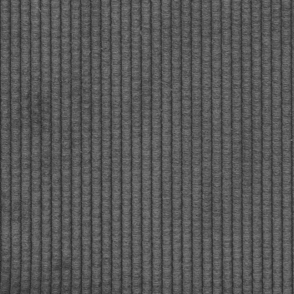 vidaXL Sofa Kussens 2 stuks Donkergrijs 50 x 30 cm Cordstof
