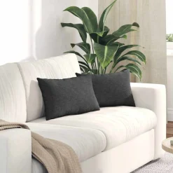 vidaXL Sofa Kussens 2 stuks Donkergrijs 50 x 30 cm Cordstof