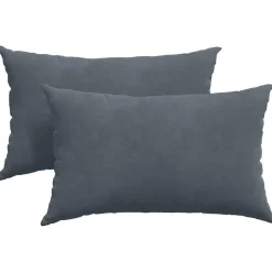vidaXL Sofa Kussens 2 stuks Donkergrijs 50 x 30 cm Cordstof