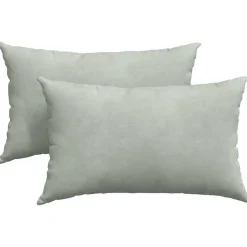 vidaXL Sofa Kussens 2 stuks Lichtgrijs 50 x 30 cm Cordstof