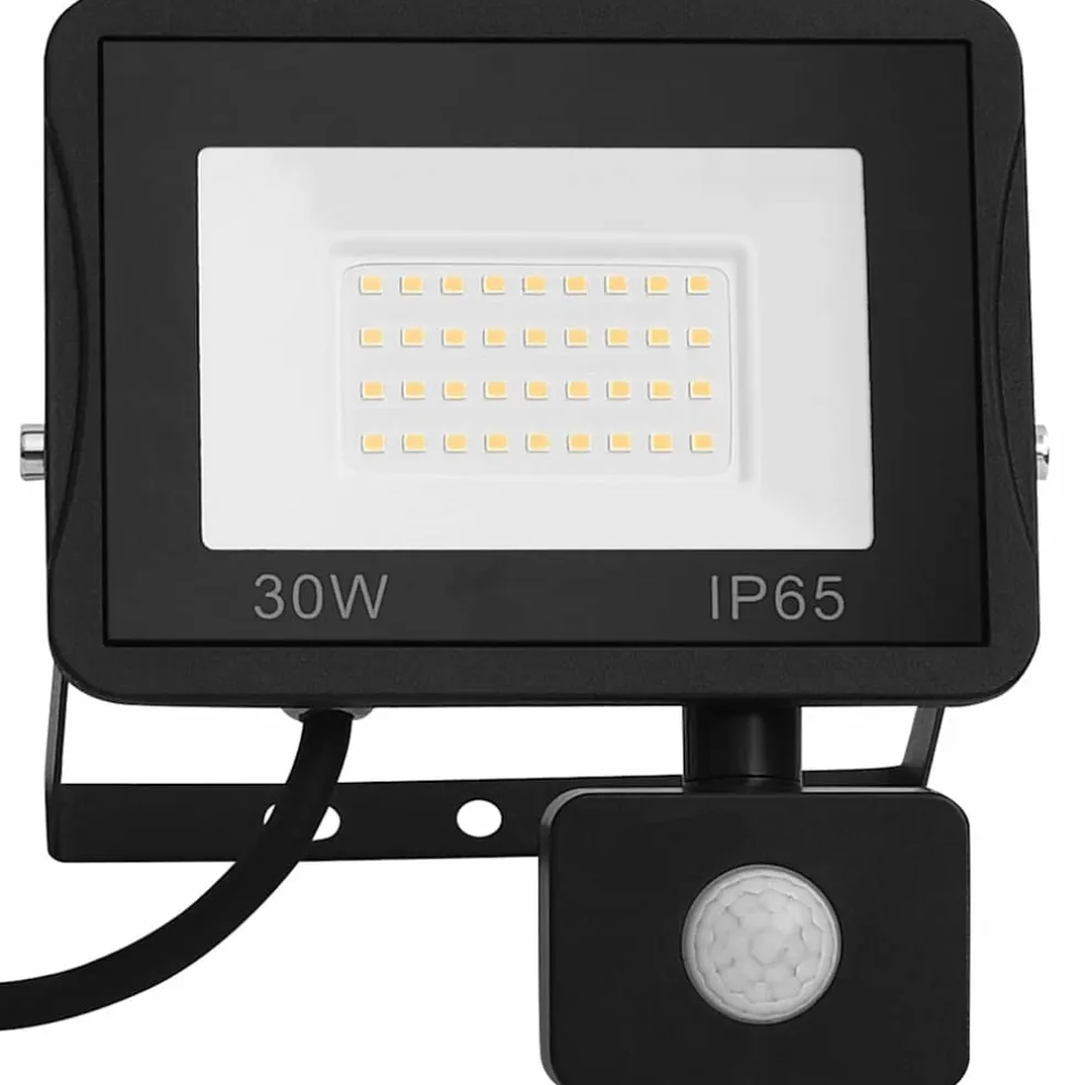 vidaXL Spotlight met sensor LED 30 W koudwit