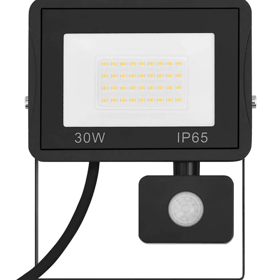 vidaXL Spotlight met sensor LED 30 W koudwit