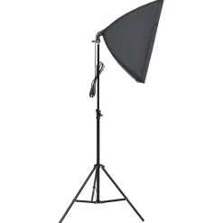 vidaXL Studiolampen 2 st professioneel 40x60 cm