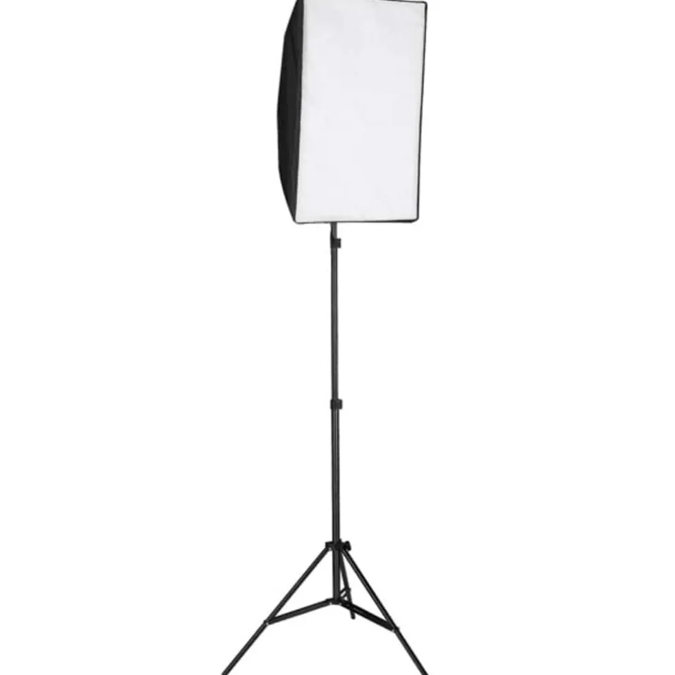 vidaXL Studiolamp professioneel 60x40 cm