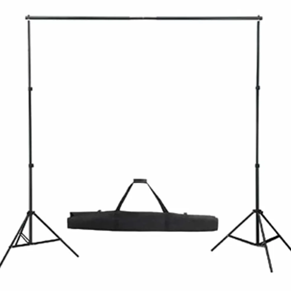 vidaXL Studioset met zwarte achtergrond en lampen 600x300 cm