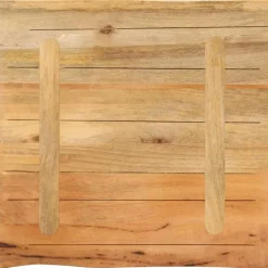 vidaXL Tafelblad met natuurlijke rand 40x40x2,5 cm massief mangohout