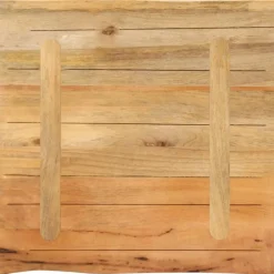 vidaXL Tafelblad met natuurlijke rand 40x40x3,8 cm massief mangohout