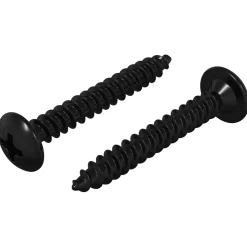 vidaXL Tapnagel 2 st Zwart M4 x 28 mm Staal