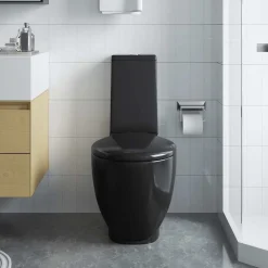 vidaXL Toilet met afvoer achter keramiek zwart