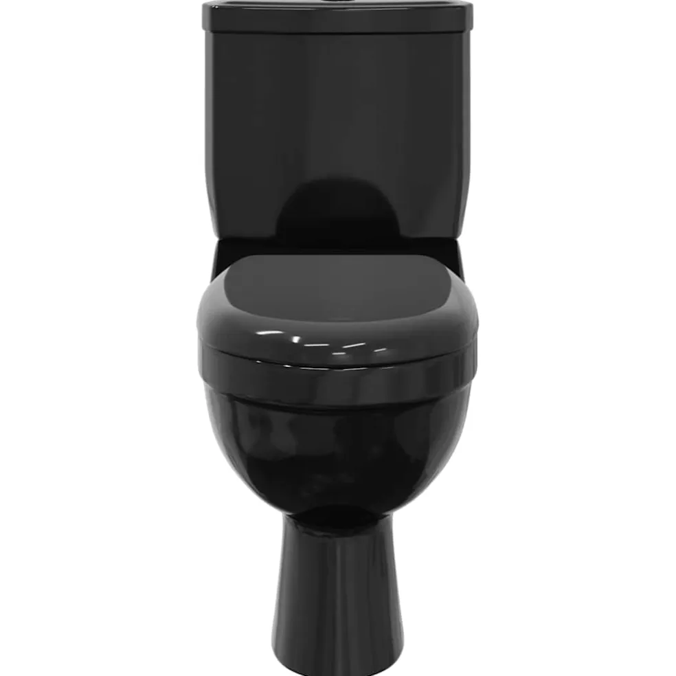 vidaXL Toilet met stortbak zwart