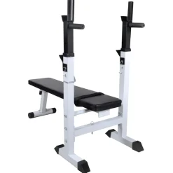 vidaXL Trainingsbank met gewichtenrek en halterset 90 kg