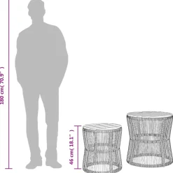 vidaXL Tuinbijzettafels 2 st met houten blad poly rattan zwart