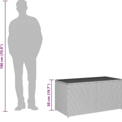 vidaXL Tuinbox 100x50x50 cm poly rattan zwart