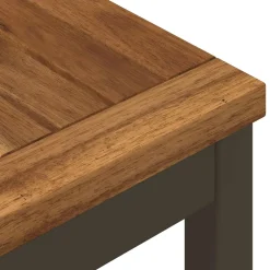 vidaXL Tuindiner tafel Natuurlijk en Koffie 60 x 60,5 x 75 cm