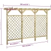 vidaXL Tuinhek met latwerk en pergola 300x50x200 cm geïmpregneerd hout