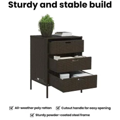 vidaXL Tuinkast 55x59x80 cm poly rattan bruin