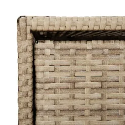 vidaXL Tuinkast 55x59x80 cm poly rattan beige