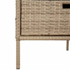vidaXL Tuinkast 55x59x80 cm poly rattan beige