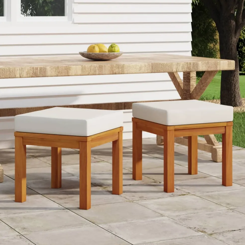 vidaXL Tuinkrukjes 2 st met kussens 40x40x42 cm massief acaciahout