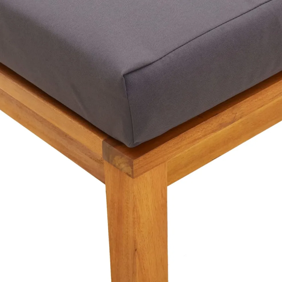 vidaXL Tuinkrukjes 2 st met kussens 40x40x34 cm massief acaciahout