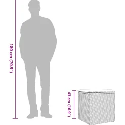 vidaXL Tuinkrukken met kussens 2 st 40x40x43 cm poly rattan grijs