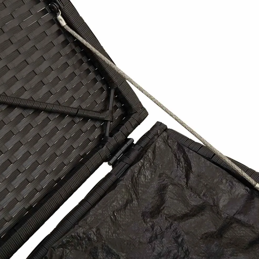 vidaXL Tuinkrukken met kussens 2 st 40x40x43 cm poly rattan zwart