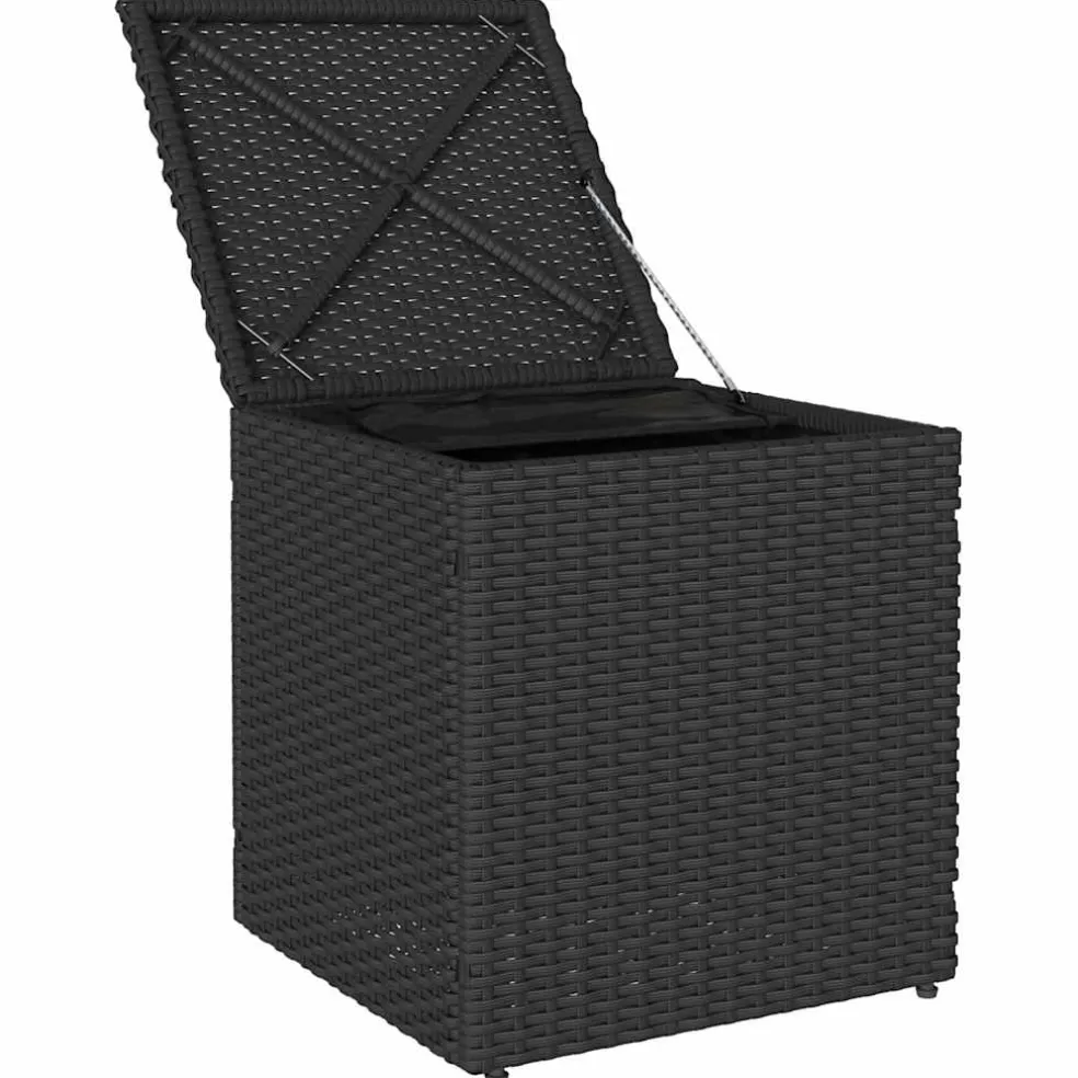 vidaXL Tuinkrukken met kussens 2 st 40x40x43 cm poly rattan zwart