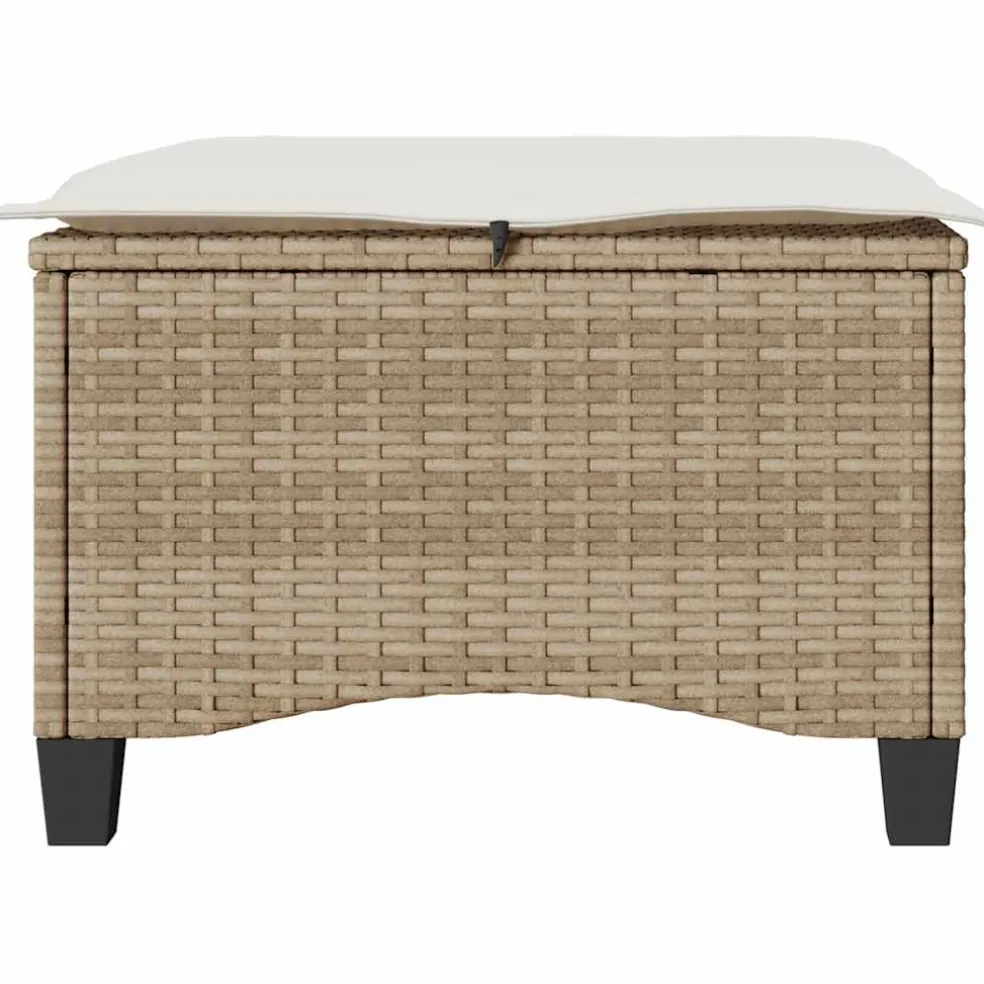 vidaXL Tuinkrukken met kussens 2 st 55x55x36 cm poly rattan beige