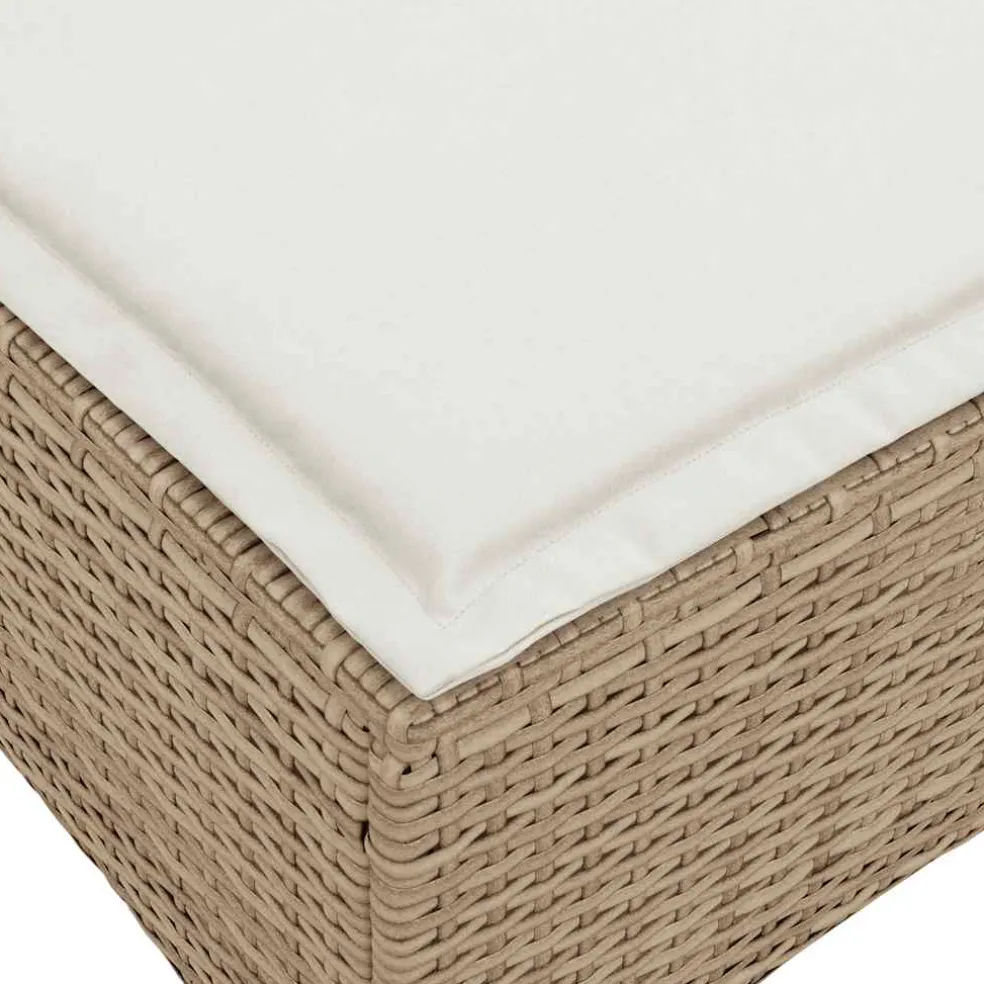 vidaXL Tuinkrukken met kussens 2 st 55x55x36 cm poly rattan beige