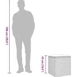 vidaXL Tuinkrukken met kussens 2 st 40x40x43 cm poly rattan bruin