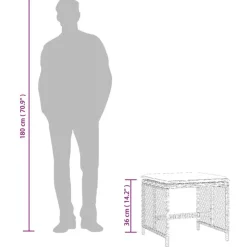 vidaXL Tuinkrukken 4 st met kussens 41x41x36 cm poly rattan grijs